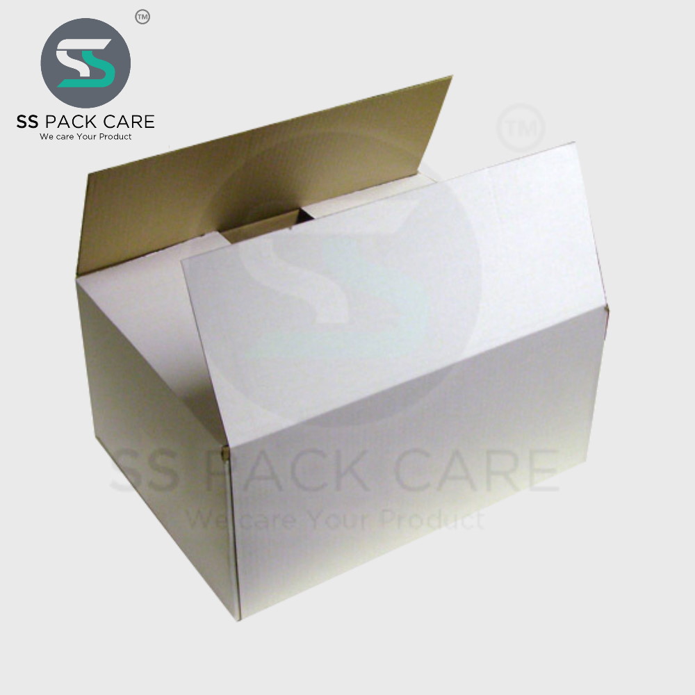 Water Proof Laminated Corrugated Box - SS Pack Care